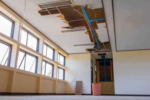 Best Emergency water damage restoration  in Dumont, NJ