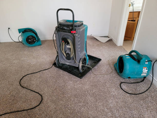 Best Commercial water damage restoration  in Dumont, NJ