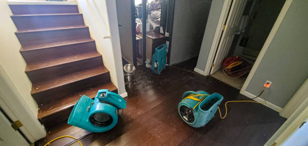 Best Flood damage cleanup  in Dumont, NJ
