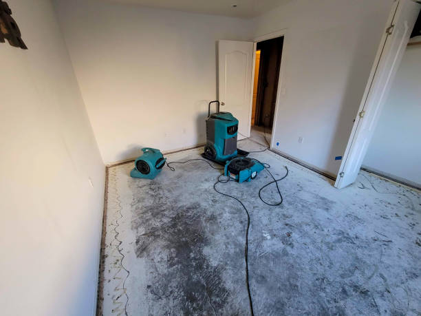 Water damage restoration mold remediation in Dumont, NJ