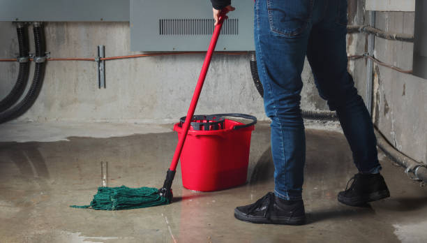 Best Water damage restoration process  in Dumont, NJ