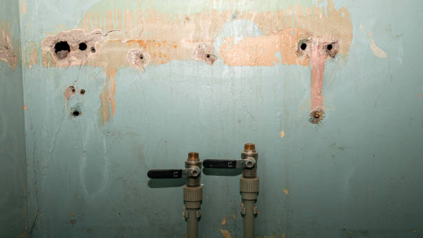 Best Local water damage restoration  in Dumont, NJ
