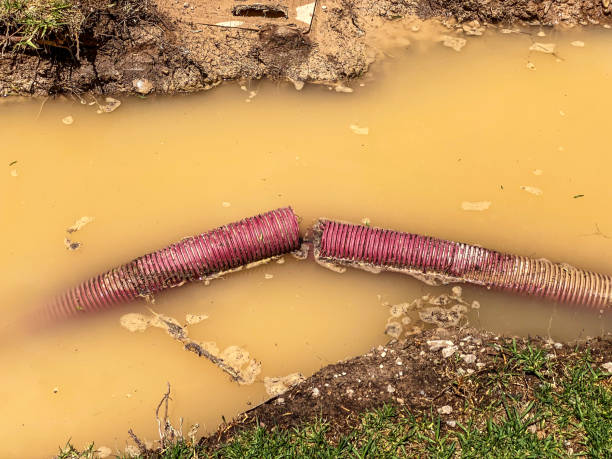 Best 24/7 water damage repair  in Dumont, NJ