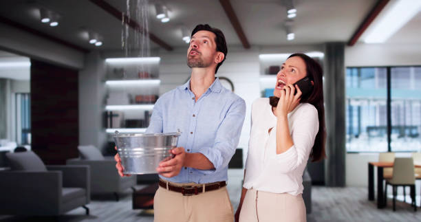 Best Flood restoration services  in Dumont, NJ