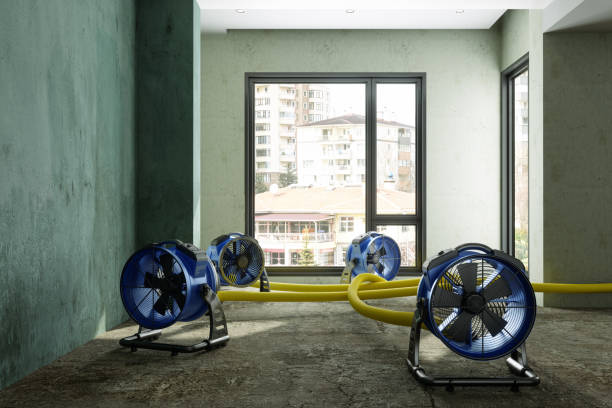 Best Water damage mitigation services  in Dumont, NJ